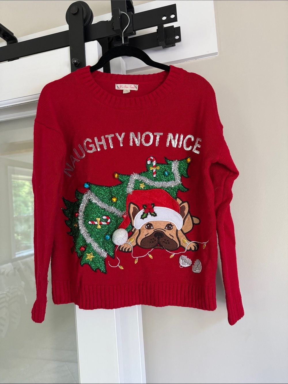 Red "Naughty Not Nice" Holiday Dog Sweater - Women's